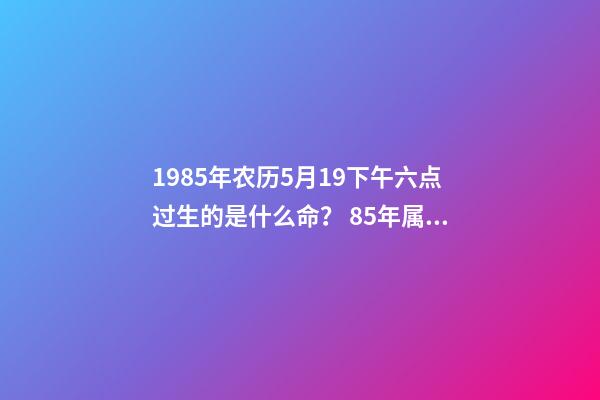 1985年农历5月19下午六点过生的是什么命？ 85年属牛女辰时出生命运怎样，85年属牛的人一生运程-第1张-观点-玄机派